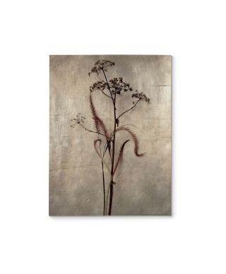 Dried Grasses II - obraz na płótnie