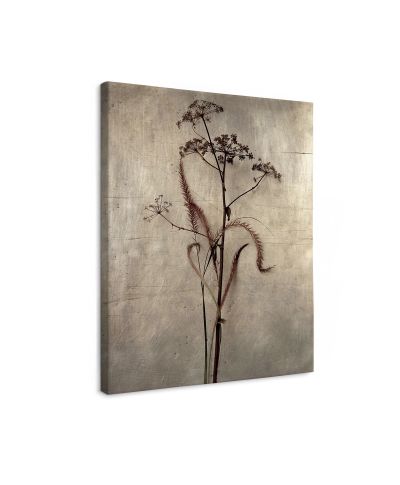 Dried Grasses II - obraz na płótnie