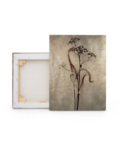 Dried Grasses II - obraz na płótnie