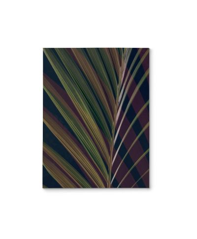 Dark Tropics II - obraz na płótnie