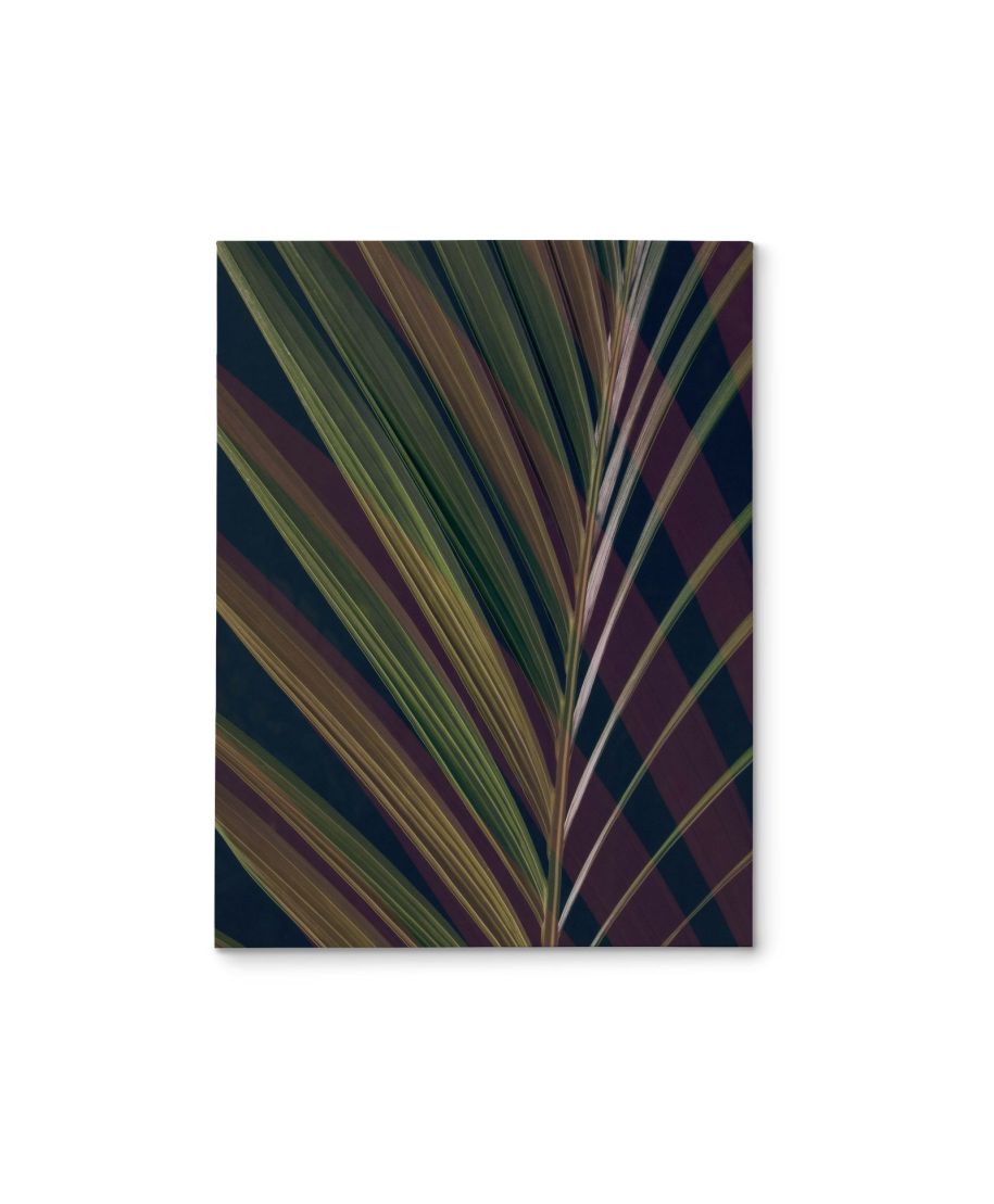 Dark Tropics II - obraz na płótnie