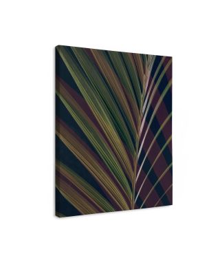 Dark Tropics II - obraz na płótnie