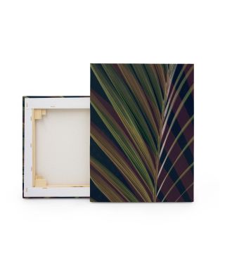 Dark Tropics II - obraz na płótnie