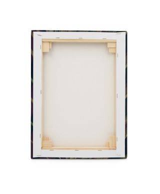 Dark Tropics II - obraz na płótnie