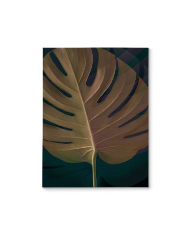 Dark Tropics III - obraz na płótnie