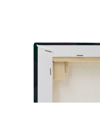 Dark Tropics III - obraz na płótnie