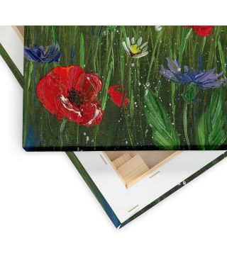 Poppies - obraz na płótnie