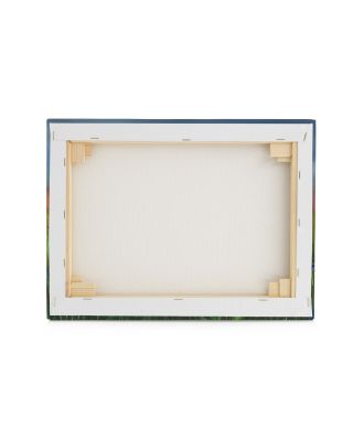 Poppies - obraz na płótnie