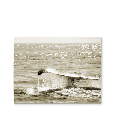 Sepia Whale - obraz na płótnie