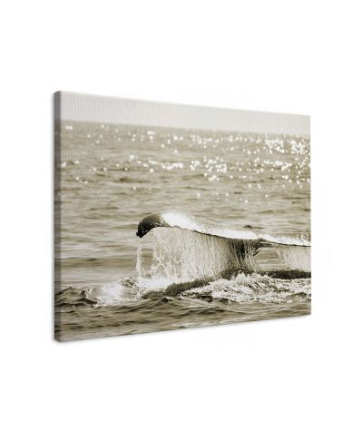 Sepia Whale - obraz na płótnie