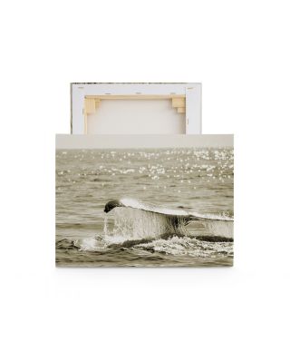 Sepia Whale - obraz na płótnie