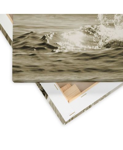 Sepia Whale - obraz na płótnie