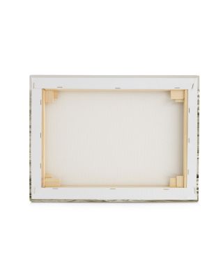 Sepia Whale - obraz na płótnie