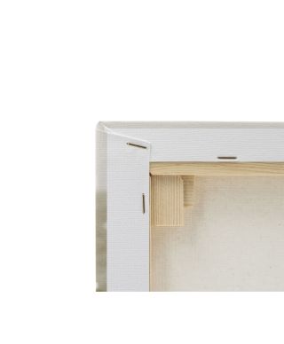 Sepia Whale - obraz na płótnie