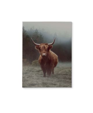 Hamish - obraz na płótnie