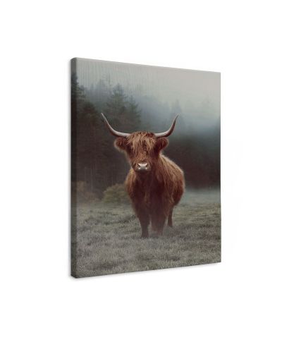 Hamish - obraz na płótnie