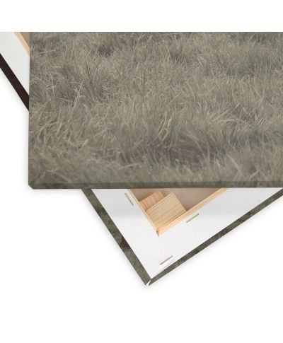 Hamish - obraz na płótnie