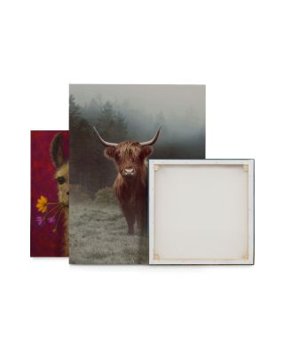 Hamish - obraz na płótnie