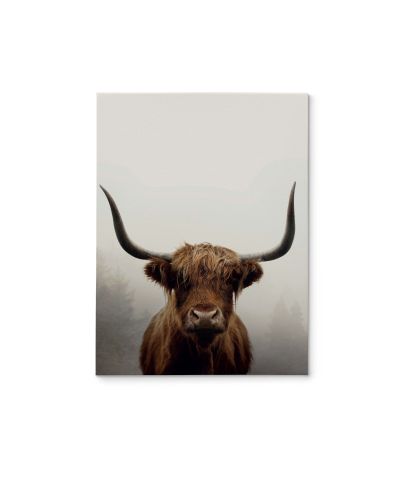 Douglas - obraz na płótnie