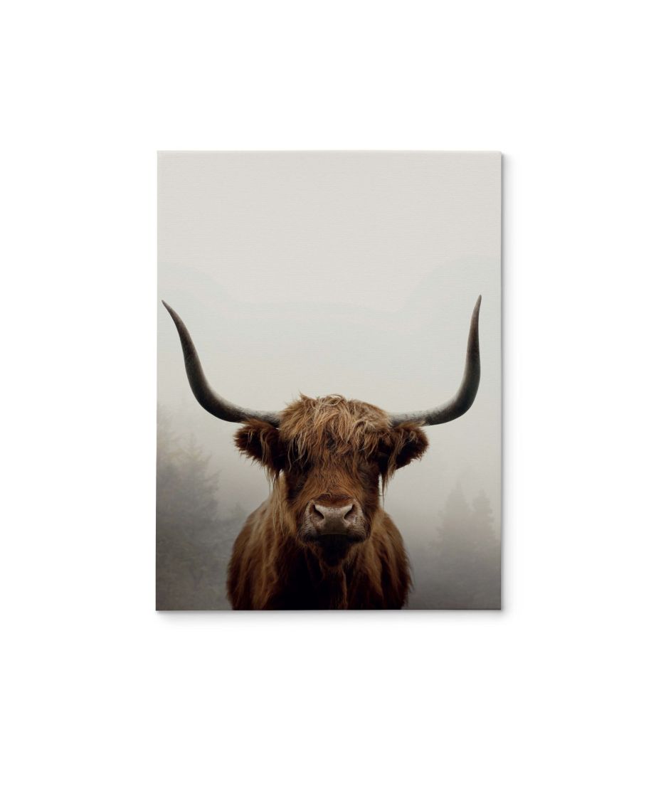 Douglas - obraz na płótnie