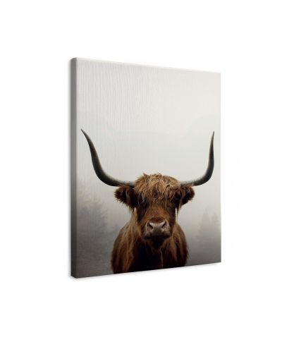 Douglas - obraz na płótnie