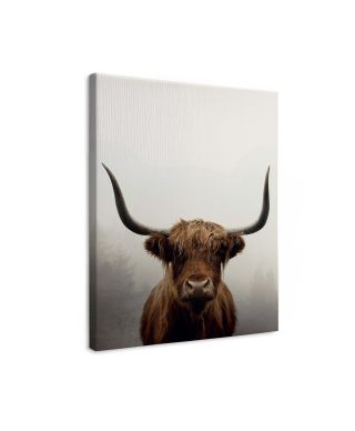 Douglas - obraz na płótnie