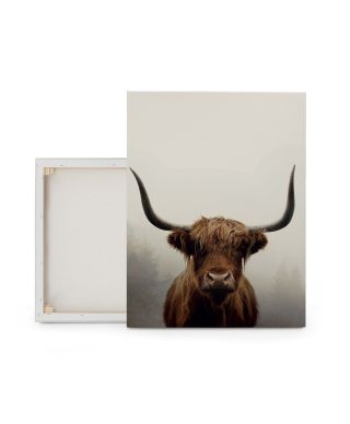 Douglas - obraz na płótnie