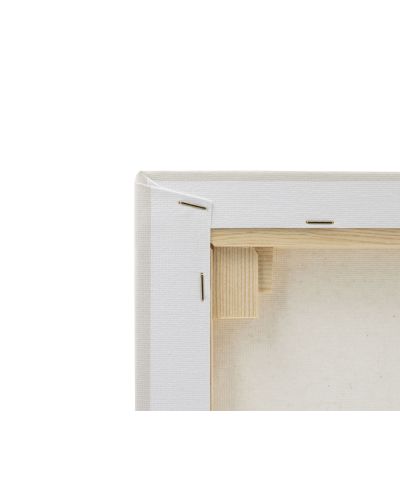 Douglas - obraz na płótnie