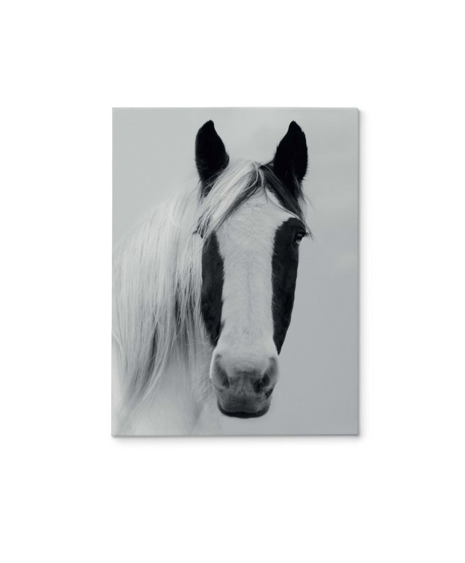 Nordic Horse I - obraz na płótnie