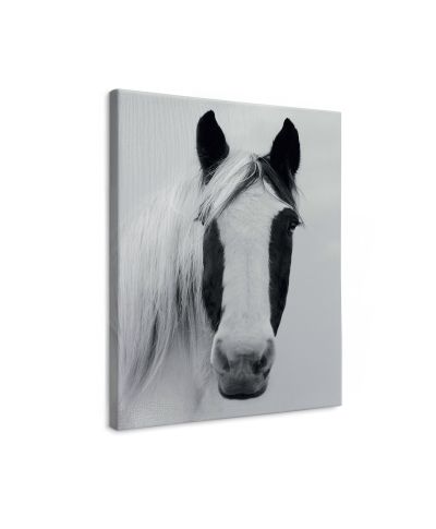 Nordic Horse I - obraz na płótnie