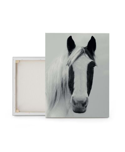 Nordic Horse I - obraz na płótnie