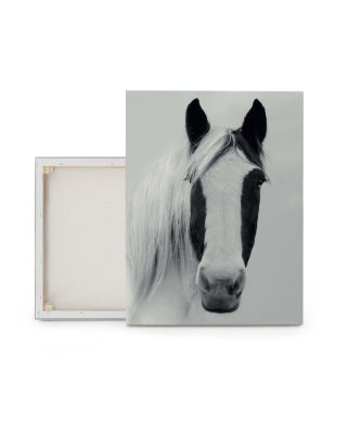 Nordic Horse I - obraz na płótnie