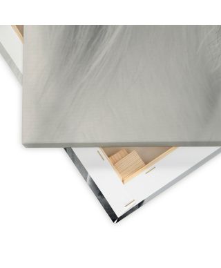 Nordic Horse I - obraz na płótnie