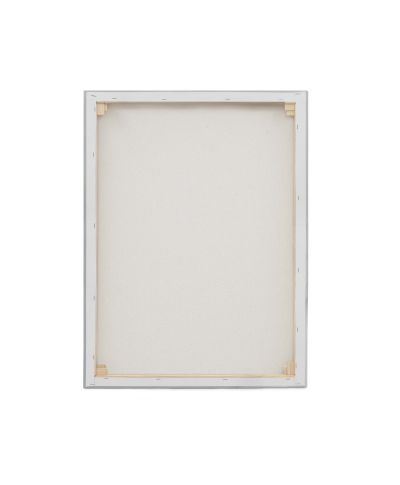 Nordic Horse I - obraz na płótnie