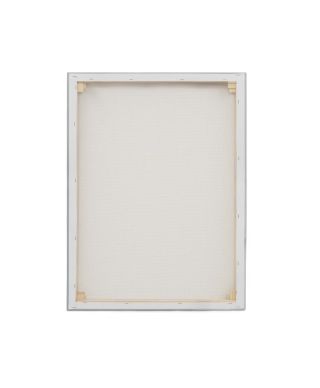 Nordic Horse I - obraz na płótnie