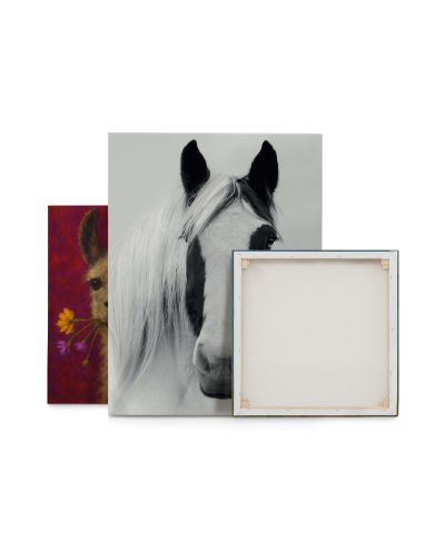 Nordic Horse I - obraz na płótnie