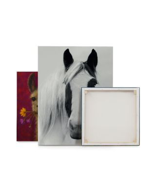 Nordic Horse I - obraz na płótnie