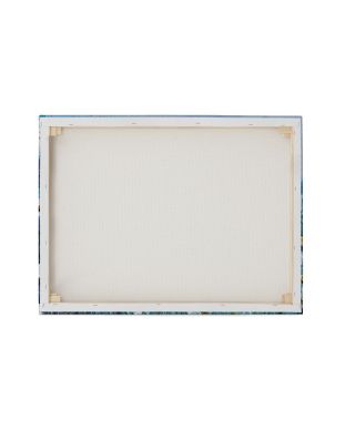 Daisies And Wild Pea Flowers - obraz na płótnie