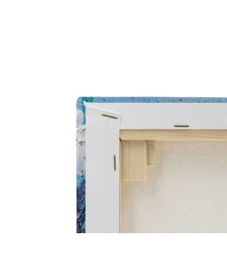 Daisies And Wild Pea Flowers - obraz na płótnie