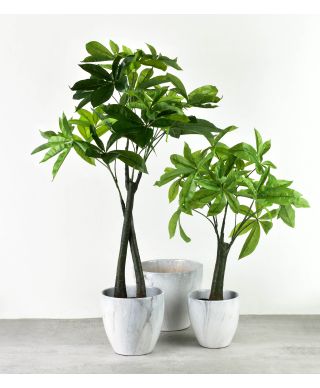 VIRIDIS Sztuczny kwiat drzewko szczęscia 15x14x95cm