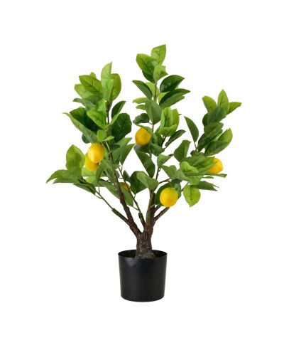 VIRIDIS Sztuczny kwiat drzewko cytrynowe 14x11x65cm