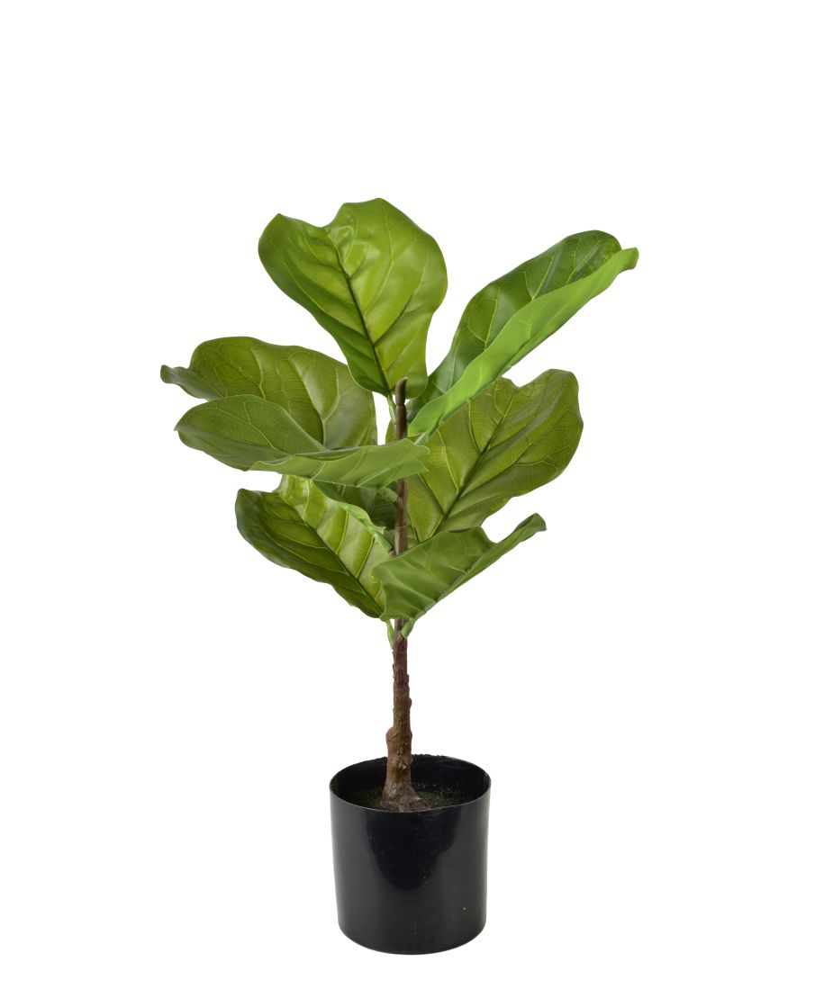 VIRIDIS Sztuczny kwiat fikus 13x13x56cm