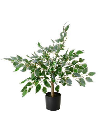 VIRIDIS Sztuczny kwiat fikus benjamin 13x12x65cm