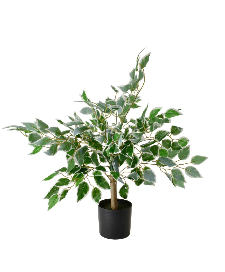 VIRIDIS Sztuczny kwiat fikus benjamin 13x12x65cm