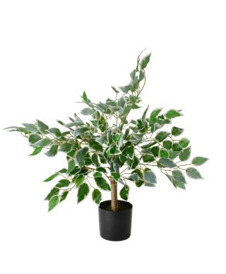 VIRIDIS Sztuczny kwiat fikus benjamin 13x12x65cm