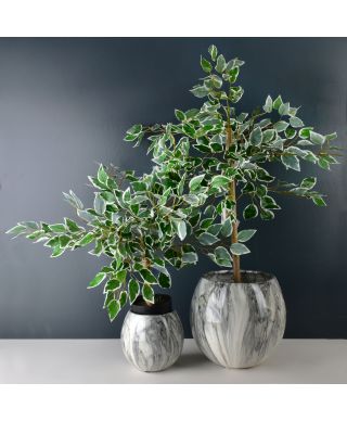 VIRIDIS Sztuczny kwiat fikus benjamin 13x12x65cm