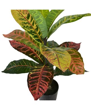 VIRIDIS Sztuczny kwiat kroton 13x12x58cm