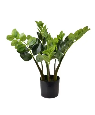 VIRIDIS Sztuczny kwiat zamiokulkas 12,5z11,5x49cm