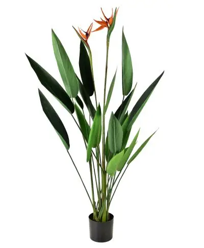 VIRIDIS Sztuczny kwiat sterlicja królewska 15x14x135cm