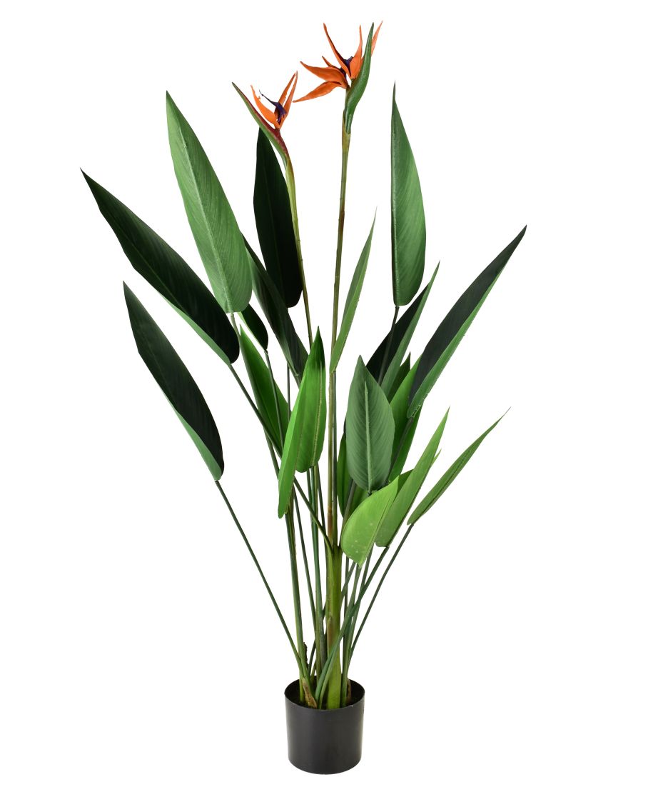 VIRIDIS Sztuczny kwiat sterlicja królewska 15x14x135cm VIRIDIS Sztuczny kwiat sterlicja królewska 15x14x135cm